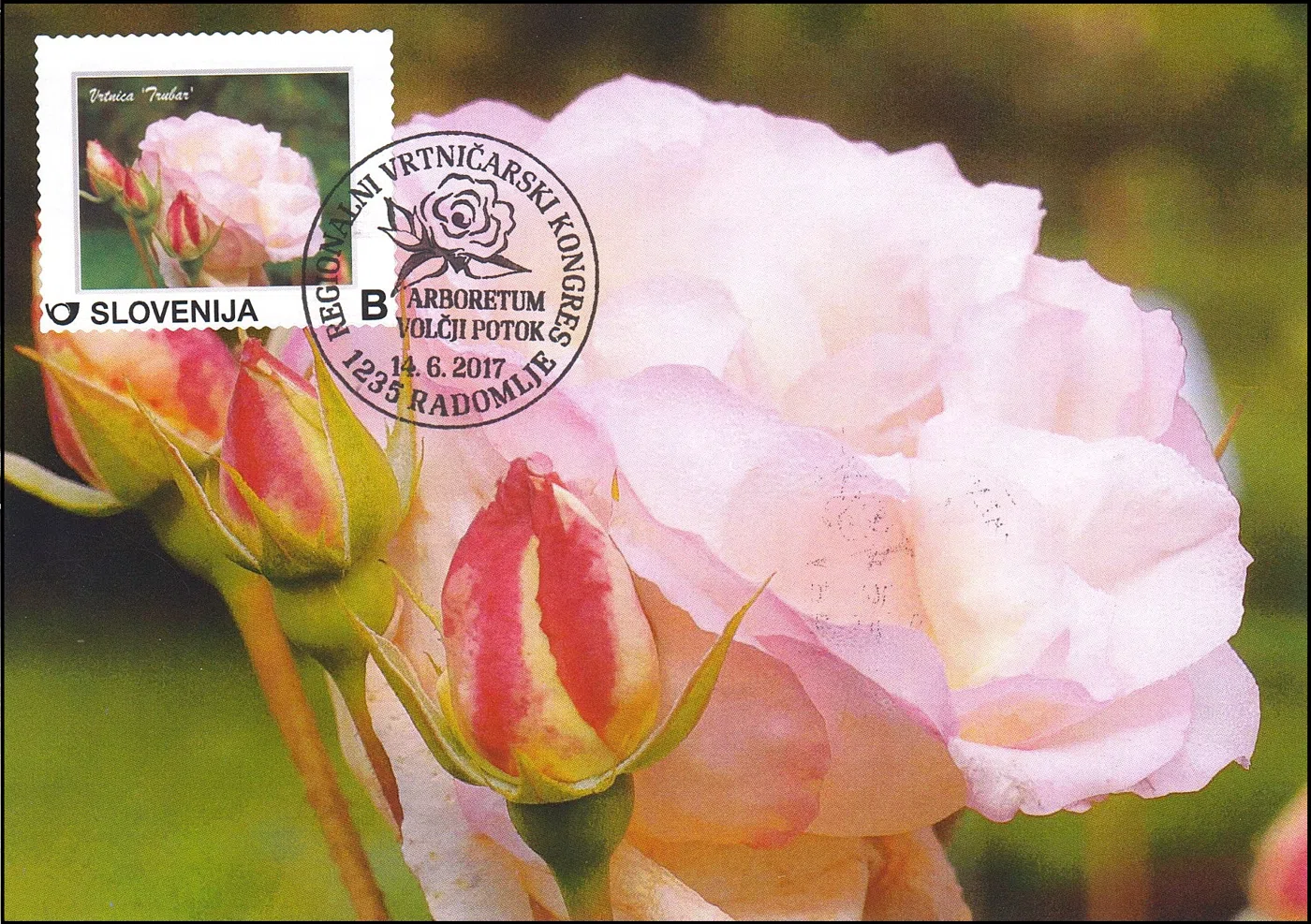 REGIONALNI VRTNIČARSKI KONGRES ARBORETUM VOLJČJI POTOK